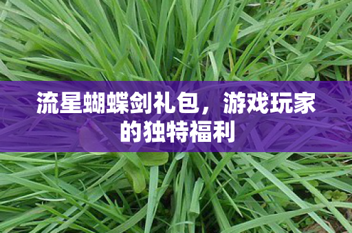 流星蝴蝶剑礼包，游戏玩家的独特福利