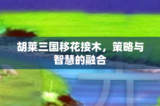 胡莱三国移花接木，策略与智慧的融合