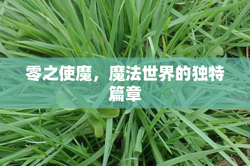 零之使魔，魔法世界的独特篇章