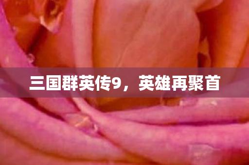 三国群英传9，英雄再聚首