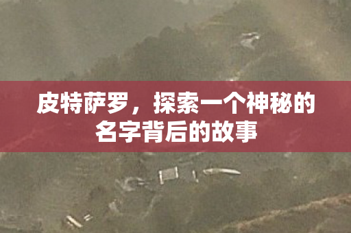 皮特萨罗，探索一个神秘的名字背后的故事