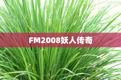 FM2008妖人传奇