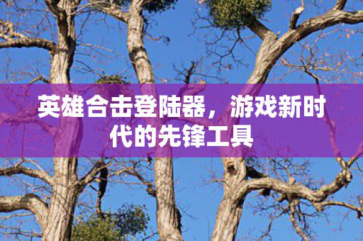 英雄合击登陆器，游戏新时代的先锋工具