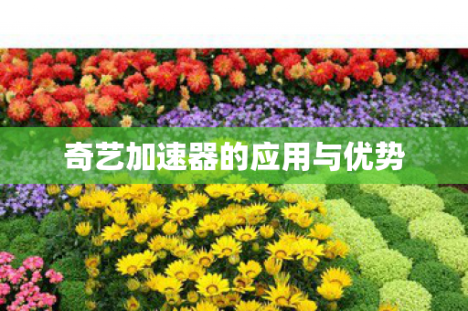 奇艺加速器的应用与优势