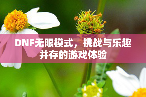 DNF无限模式，挑战与乐趣并存的游戏体验