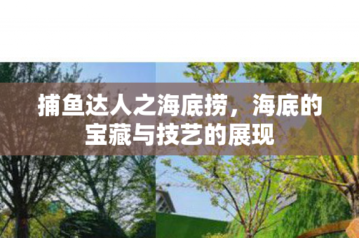 捕鱼达人之海底捞，海底的宝藏与技艺的展现