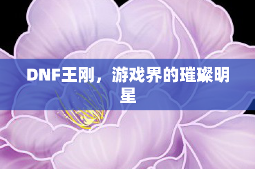 DNF王刚，游戏界的璀璨明星