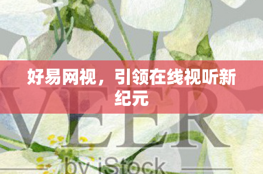 好易网视，引领在线视听新纪元