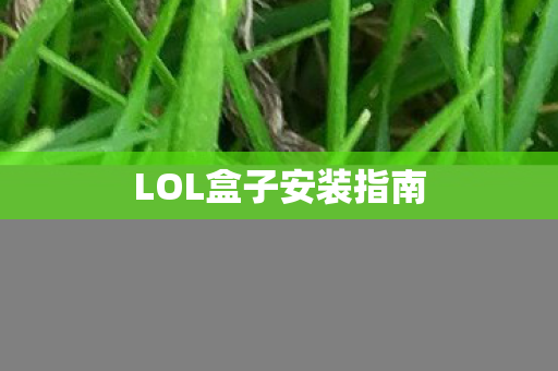 LOL盒子安装指南