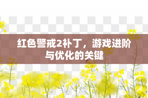 红色警戒2补丁，游戏进阶与优化的关键