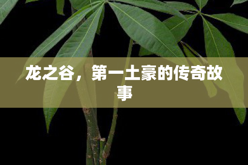 龙之谷，第一土豪的传奇故事