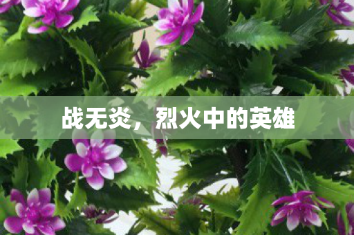 战无炎，烈火中的英雄
