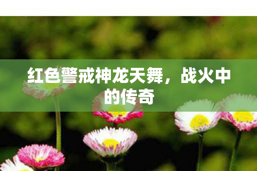 红色警戒神龙天舞，战火中的传奇