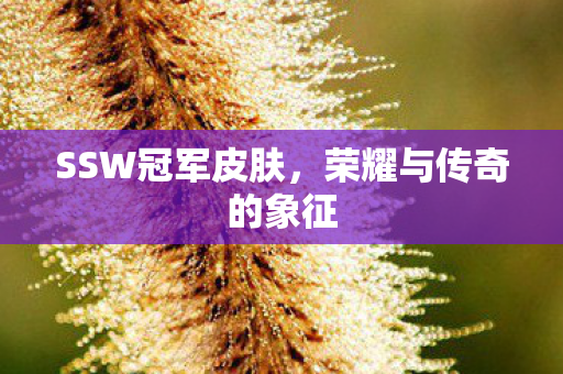SSW冠军皮肤，荣耀与传奇的象征