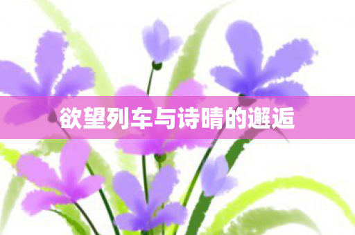 欲望列车与诗晴的邂逅