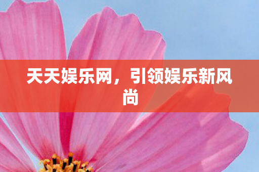 天天娱乐网，引领娱乐新风尚