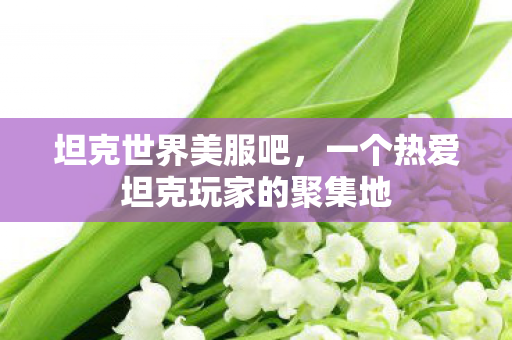 坦克世界美服吧，一个热爱坦克玩家的聚集地