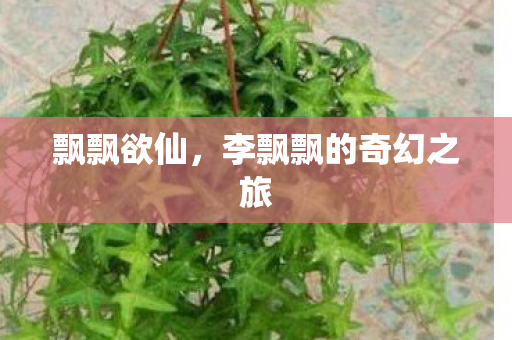 飘飘欲仙，李飘飘的奇幻之旅