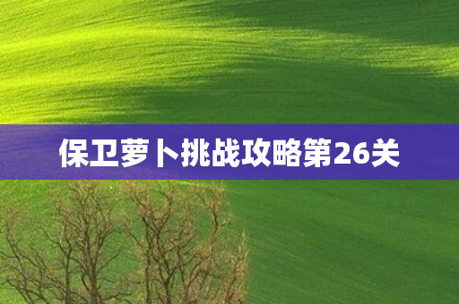 保卫萝卜挑战攻略第26关