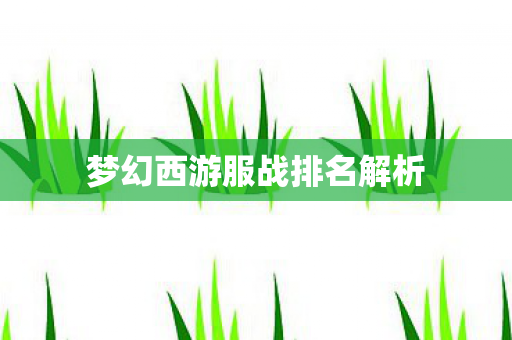 梦幻西游服战排名解析