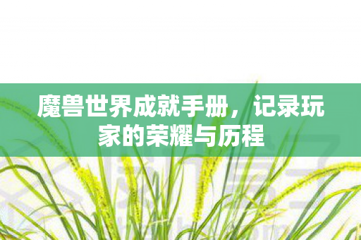 魔兽世界成就手册，记录玩家的荣耀与历程