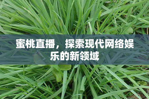 蜜桃直播，探索现代网络娱乐的新领域