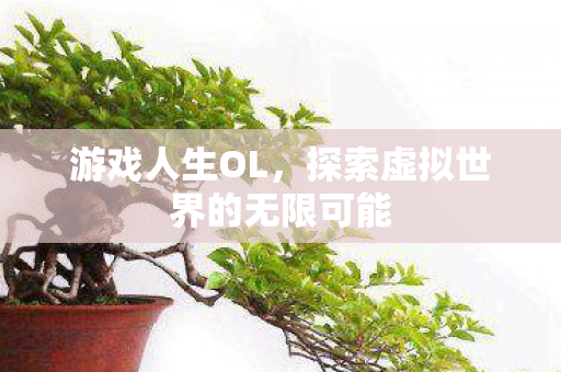 游戏人生OL，探索虚拟世界的无限可能