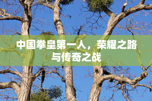 中国拳皇第一人，荣耀之路与传奇之战