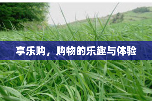 享乐购，购物的乐趣与体验