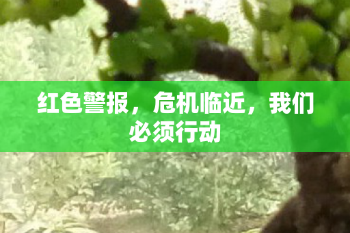 红色警报，危机临近，我们必须行动
