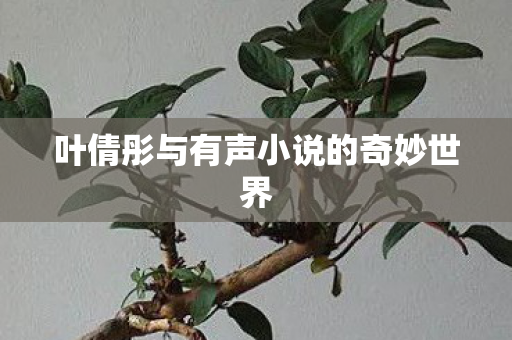 叶倩彤与有声小说的奇妙世界