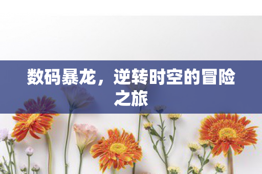 数码暴龙，逆转时空的冒险之旅