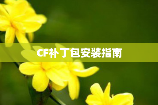 CF补丁包安装指南