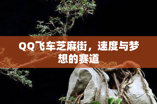 QQ飞车芝麻街，速度与梦想的赛道