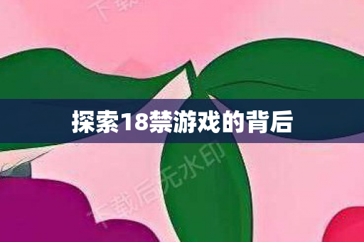 探索18禁游戏的背后