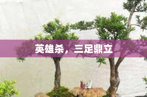 英雄杀，三足鼎立