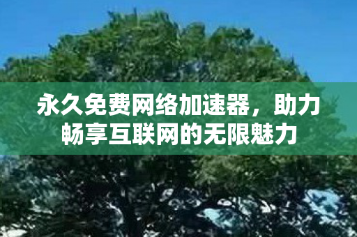 永久免费网络加速器，助力畅享互联网的无限魅力