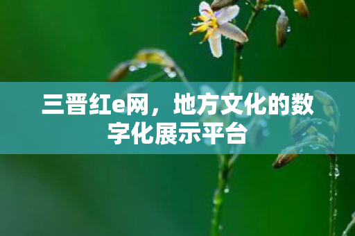 三晋红e网，地方文化的数字化展示平台