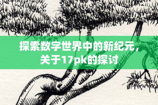 探索数字世界中的新纪元，关于17pk的探讨