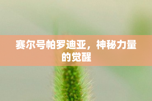 赛尔号帕罗迪亚，神秘力量的觉醒