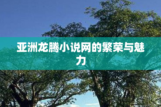 亚洲龙腾小说网的繁荣与魅力