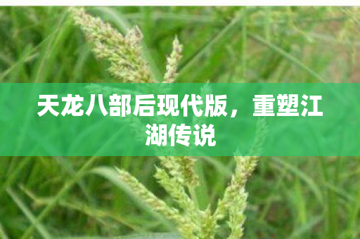 天龙八部后现代版，重塑江湖传说