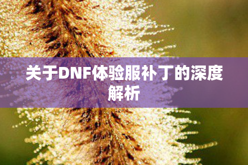 关于DNF体验服补丁的深度解析