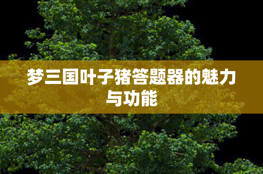 梦三国叶子猪答题器的魅力与功能