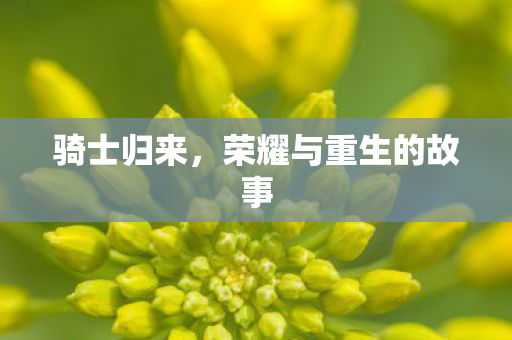 骑士归来，荣耀与重生的故事