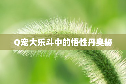 Q宠大乐斗中的悟性丹奥秘