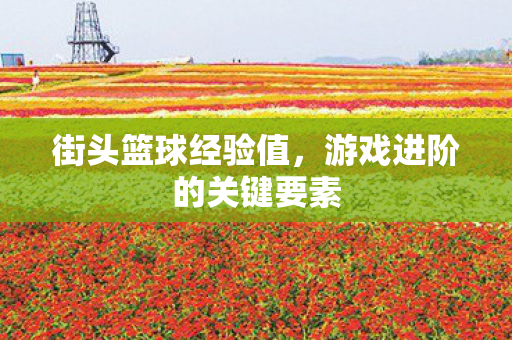 街头篮球经验值，游戏进阶的关键要素