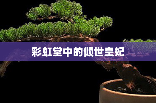 彩虹堂中的倾世皇妃