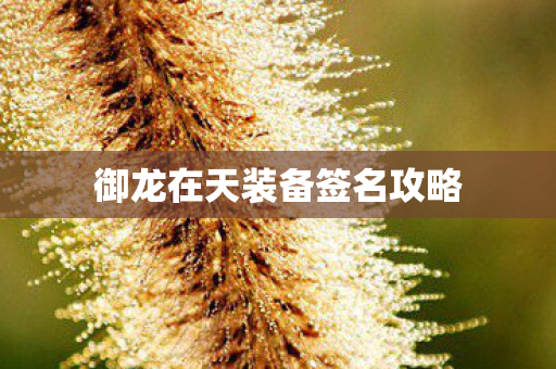 御龙在天装备签名攻略