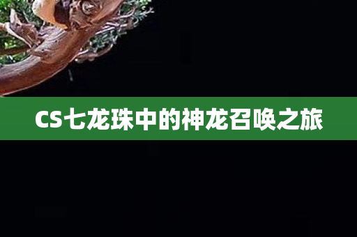 CS七龙珠中的神龙召唤之旅